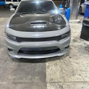 16 cat slim body