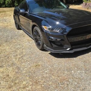 2017 Ford Mustang · GT Premium Coupe 2D/ Striker car
